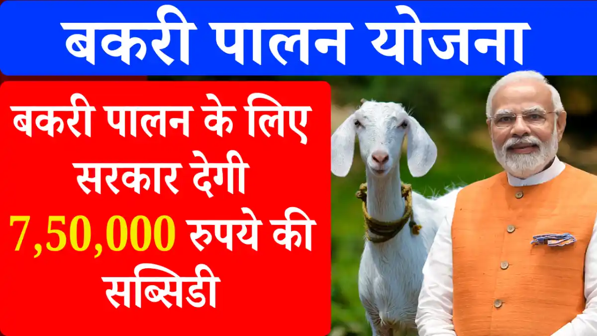 Bakri palan yojana